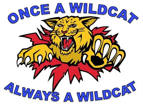 Wildcat logo